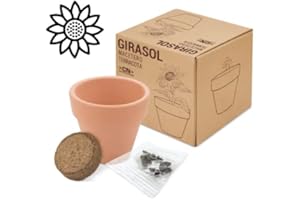 VASARA Maceta Terracota Semillas GIRASOL- Regalo ideal para bodas, comuniones, bautizos