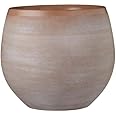 Gardenesque Indoor Pot Cover | Ceramic | Golden Brown | 3 Sizes (W24 x H20cm)