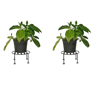 GREEN TOUCH Indoor/Outdoor Flower Pot/Plant Stand for Home Garden, Balcony d