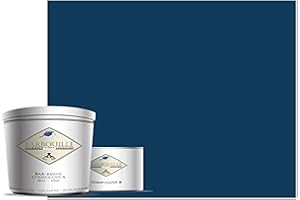 BARBOUILLE - Bar-Resina Abissal - Resina epossidica Bi-Componenti - Effetto Opaco - Pittura Muro, Soffitto, Legnameria, Piastrelle e Metallo - Lavandabile - COV A+ - Made in France - 750 ml