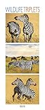 Wildlife Triplets 2020: Schmaler Wandkalender. Foto-Kunstkalender von Tieren in der Natur und im Meer. PhotoArt Vertikal. 28,5 x 69 cm. Edles Foliendeckblatt. by