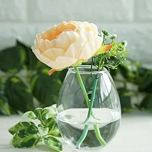 Aakriti Wall Hanging Planters Glass Plant Pots Water Plant Containers Glass Flower Pots Air Plant Terrariums Glass Terrarium (Hanging Clips not Included) (HANGING-PLANTER-1PCS)