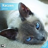 Katzen 30 x 30 cm 2010 by 