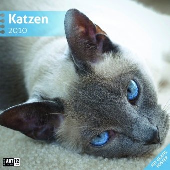 Katzen 30 x 30 cm 2010