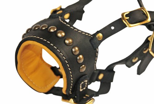 Dean-Tyler-Apollo-64-Leather-Padded-Muzzle-BlackTan