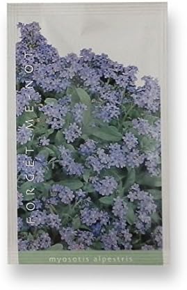 Unique Wedding Favours: Flower Seeds Wedding Favours - pack of 10 - Forget me Not