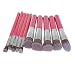 Generic 10Pcs Pro Makeup Cosmetic Eyeshadow Eyeliner Face Contour Foundation Brushes RS.405.00