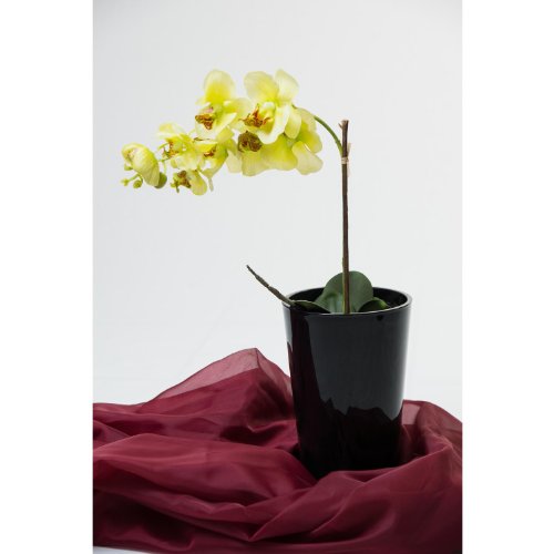 Konische Vase SALLY aus Glas, schwarz, 22 cm, Ø 13 cm – Blumenvase / Tischvase – INNA Glas - 5