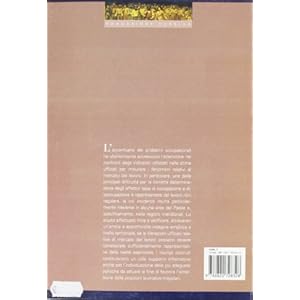 Capire il sommerso. Un'analisi del lavoro irregolare al di là dei luoghi comuni