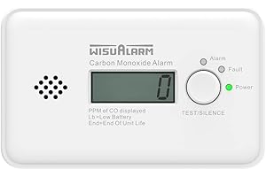 Wisualarm HY-GC20B Détecteur de monoxyde de Carbone autonomie 10 Ans à Pile(s) Gaz détecté monoxyde de Carbone