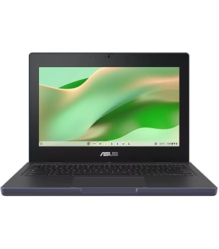 ASUS Chromebook Flip 11 CZ1104FM2A 11.6