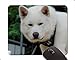 Produktbild Akita Inu Dog Face Eyes Customized Rectangle Non-Slip Rubber Print Mouse pad