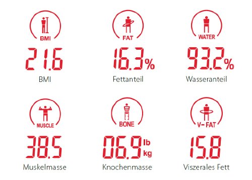 CASO BF4 – Design Personenwaage (3414) / Wiegebereich bis 150kg in 0,1kg Schritten / Speicher für 4 Personen / Gewicht, Körperfettanteil, Muskel-, Wasser- & Knochenmasse sowie BMI werden ermittelt - 5