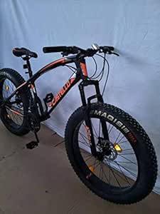 sunshine kenda fat bike