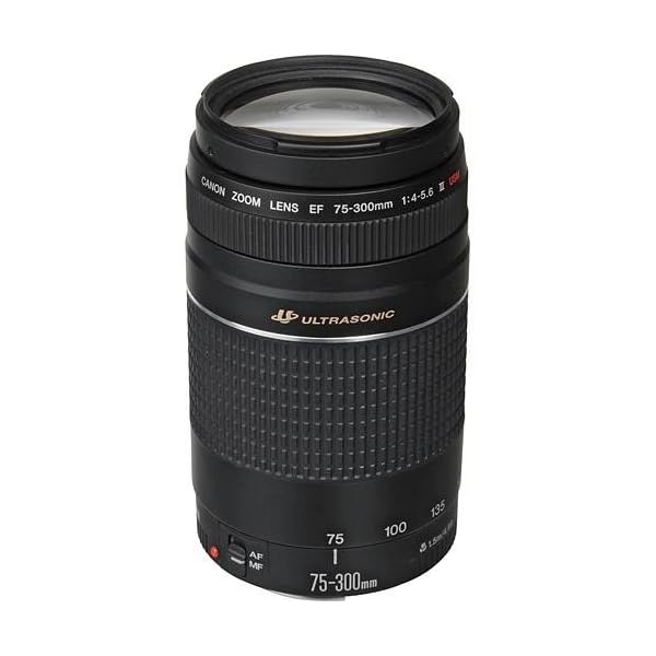 Canon EF 75-300mm f/4-5.6 III Objetivo para Canon (zoom óptico 4x,diámetro: 58mm), color negro - Image 4