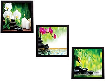 eCraftIndia 'Flora and Stones' UV Art Painting (Synthetic Wood, 76 cm x 25 cm, Set of 3, Satin Matt Texture, C3FPB1145)