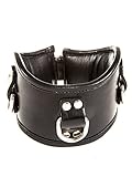 Leather Posture Collar Black