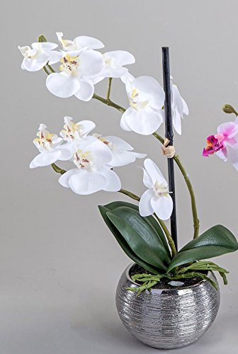 Wunderschöne Orchidee Kunstblume Dekoblume im Silbertopf, weiß, 32 cm