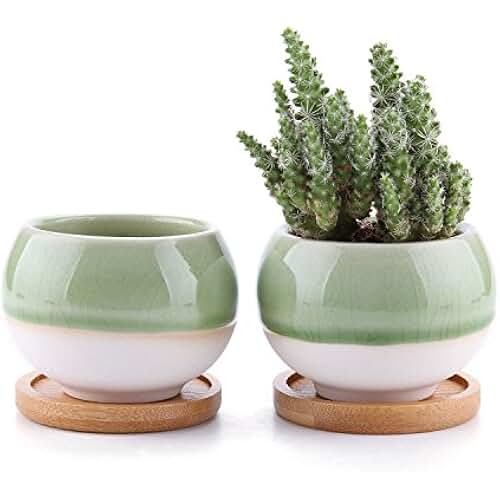 Amazon.co.uk ceramic plant pot saucers