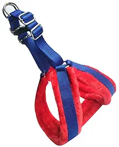 Pedigone 1 inch Red Blue Feather Padded Dog Body Cross/Dog Body Harness Dog Belt for All Breed of Dogs.