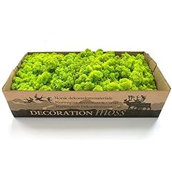 Mousse végétale naturelle stabilisée, vert citron