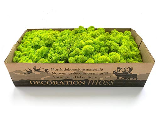 Mousse végétale naturelle stabilisée, vert citron