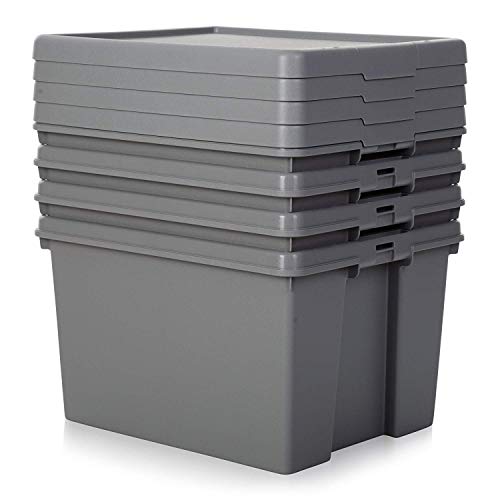 Jms we create smile set of 4