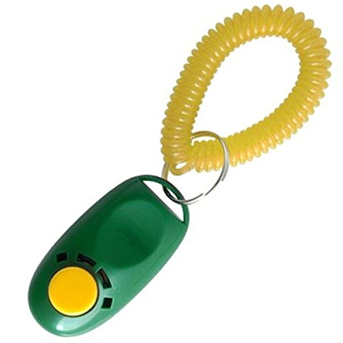 Pet-Cat-Button-Clicker-Training-Dog-Trainer-Equipment-Accessories-Random-Color-Quantity-1