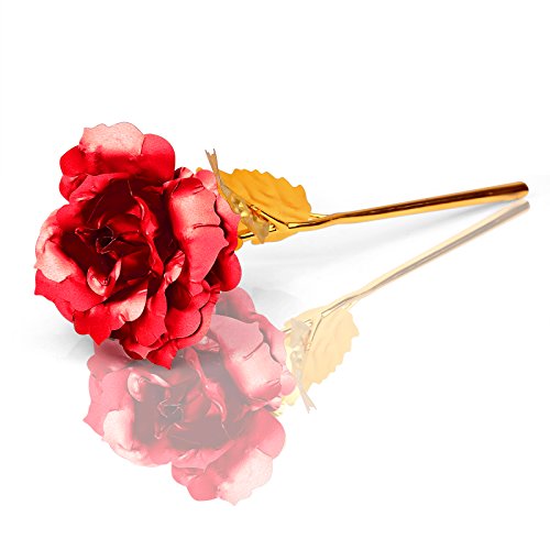 Rose 24 K vergoldet Rose Blume mit Geschenk-Box Beste Geschenk für Valentinstag Muttertag Weihnachten Geburtstag Golden/Rot/Lila/Blau – rot - 3