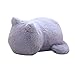 Produktbild Coomir Cushion Cat Plüsch Spielzeug Geburtstagsgeschenk Weich Bequem für Kinder Büro Auto Plüsch Katze Simulation Kissen Katze Grau