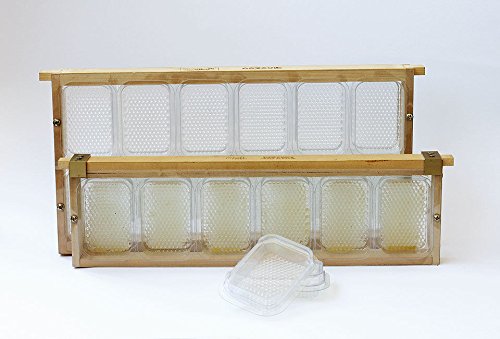 Apibox Mini,Rähmchen,Wabenhonig,Dadant,Langstroth - 3