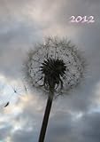 Kalender 2012 - Pusteblume: 1 Woche pro Doppelseite, DIN A 5 by 