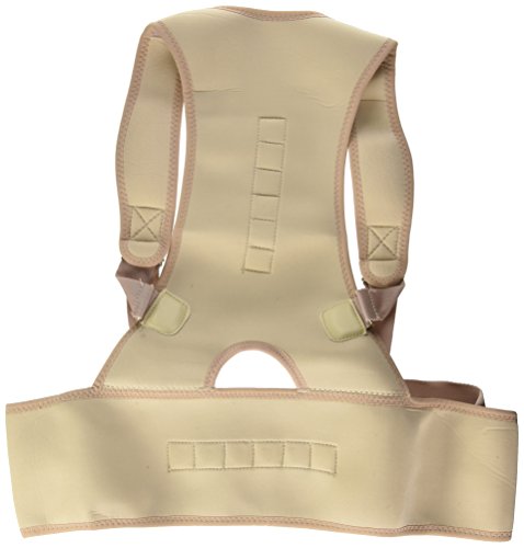 CEXPRESS - Corrector de Espalda Magnético Dr Gem - L