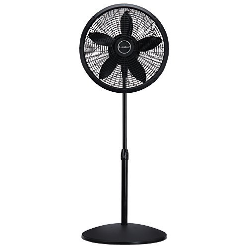 Preisvergleich Produktbild LASKO 1827 Fan – Haushalt Fans (schwarz)