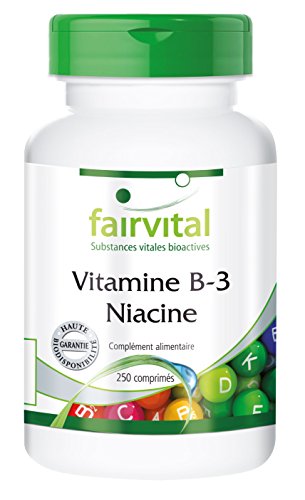 Preisvergleich Produktbild Vitamine B-3 niacine - 250 comprimés