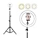 Price comparison product image Hamkaw 10" Led Selfie Ring Light with Stand, Mini Led Camera Light with Cell Phone Holder & 3 Light Mode, Led Circle Light for YouTube Video/Live Stream/Makeup