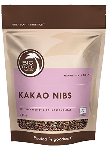 Preisvergleich Produktbild Bio Kakao Nibs roh 250 g