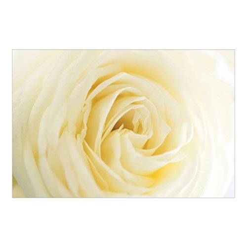 Apalis Vliestapete Blumentapete White Rose Fototapete Breit | Vlies Tapete Wandtapete Wandbild Foto 3D Fototapete für Schlafzimmer Wohnzimmer Küche | gelb, 94863 - 2