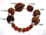 Betterthan Expected 2,3,4,5,6,7,mukhi face rudraksha bracelt Beads