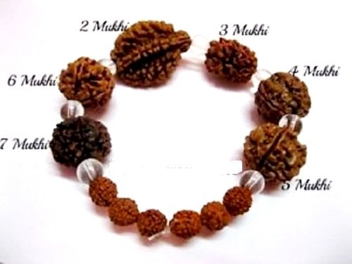 Betterthan Expected 2,3,4,5,6,7,mukhi face rudraksha bracelt Beads