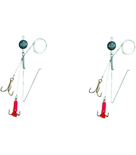 Balzer Matzes Posen Système Flotteur Pour Brochet – 70 Cm, Charge 9 Kg, Montage à La Dérive, Bas De Ligne Acier