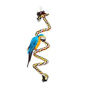 Aolvo periquitos/loros/cacatúas, coloridas espirales de algodón para loro columpio de pie juguetes con campana, juguetes de columpio, perca masticable juguete para loro
