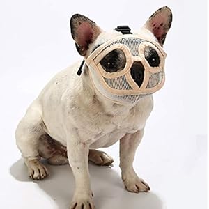 PETEMOO Bozal Corto para Perro con Forma de Bulldog de Malla Transpirable Ajustable para mascarar, Cortar y Entrenar a Perros