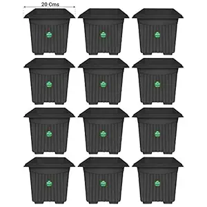 TrustBasket UV Treated Square Plastic Planter (8 inches) - Black Color- Set of 12