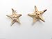 2 x Real Starfish Hair Clips Sea Shell Mermaid Boho Star Fish Beach Festival O27 *EXCLUSIVELY SOLD BY STARCROSSED BEAUTY*