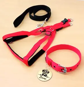 Kraftidy Dog Harness Collar Leash with Name tag id Customized Belt for Large , Medium Small Dogs Neck Collar and Leash Adjustable Harness with Personalized Dog Name (Red Black) (Small Dogs)