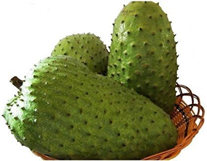 Graviola Whole Fruit (Guanabana, Soursop), Fresh Rare Fruit, Approx 4kg-SALES