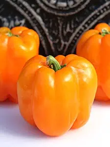 Creative Farmer Vegetable Seeds Organic Red Colour Capsicum Ornamental Garden Plants Seeds Seeds Kitchen Garden Seeds Pack