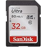 SanDisk Ultra 32GB Class 10 UHS-I SDHC Memory Card (SDSDUNC-032G-GN6IN)