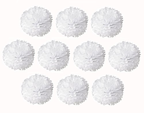 NectaRoy 10er Set DIY PomPoms Tissue PomPon Papierblume handgefertigt Hochzeit Partei Feier Dekoration für Hochzeit/Gebutztag/Baby Shower/Weihnachten 25cm (Weiß)